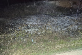 Küçük çaplı ot yangını erken müdahaleyle söndürüldü