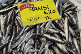 Denizlerdeki durgunluk tezgaha yansıdı