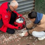 Denizde can mücadelesi: Martıyı 911 ekipleri kurtardı