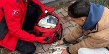 Denizde can mücadelesi: Martıyı 911 ekipleri kurtardı