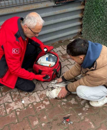 Denizde can mücadelesi: Martıyı 911 ekipleri kurtardı