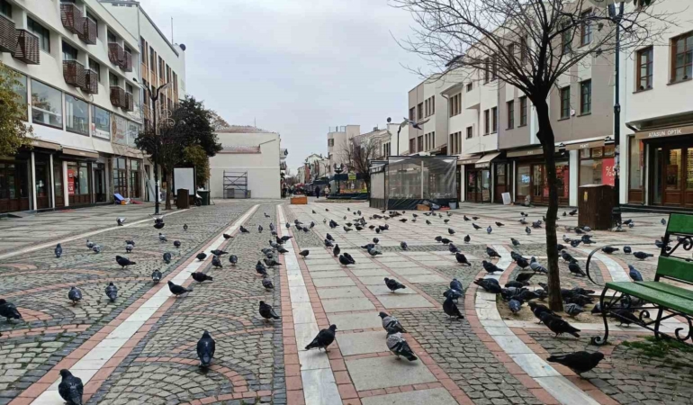 Edirne’de kar gitti, ayaz geldi: Pandemi günlerini aratmayan sessizlik