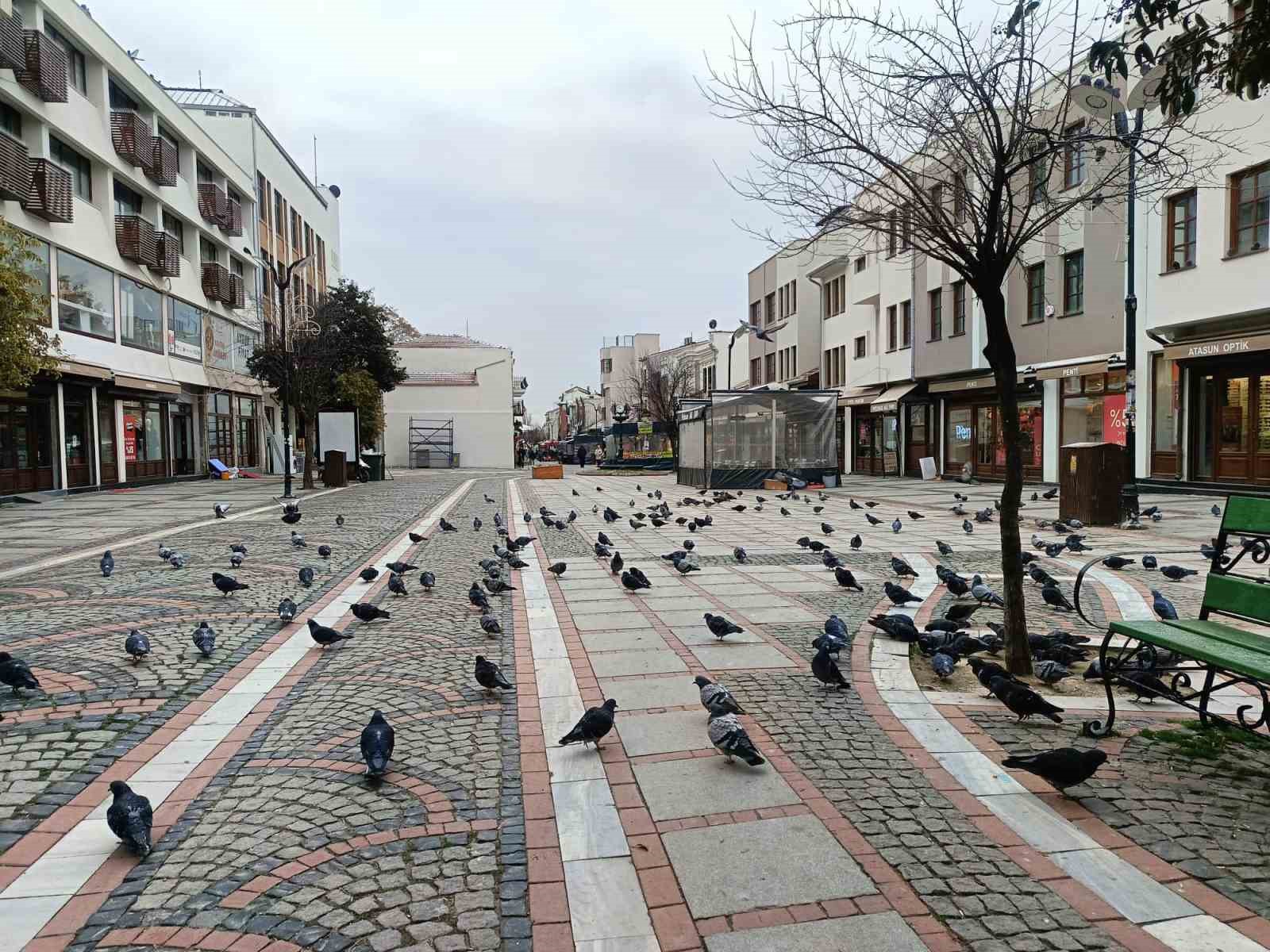 Edirne’de kar gitti, ayaz geldi: Pandemi günlerini aratmayan sessizlik