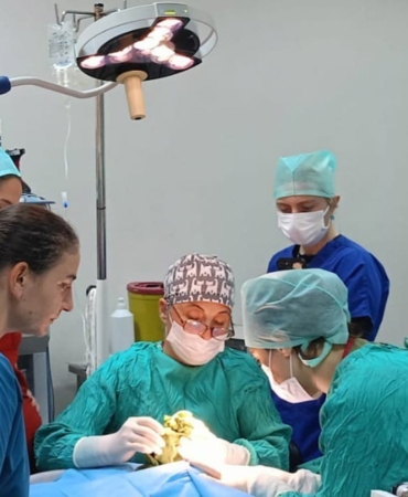 Veteriner Fakültesinde 3 bin hayvana şifa