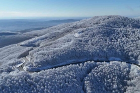 Istranca ormanlarında kar manzaraları