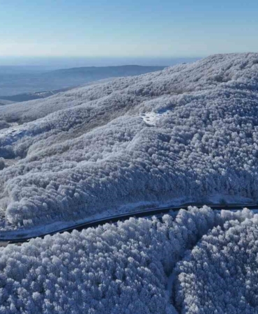 Istranca ormanlarında kar manzaraları