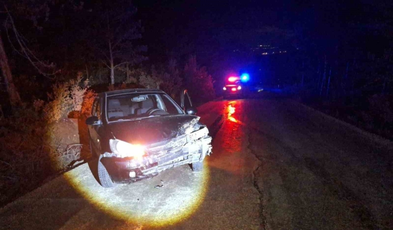 Bilecik’te kontrolden çıkan otomobil ağaca çarptı: 1 yaralı