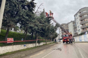 Bursa’da lodos ağacı devirdi, elektrik hatları zarar gördü