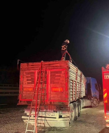 Bilecik’te seyir halinde talaş yüklü tır dorsesi alev aldı