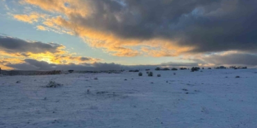 Çimsa, şehitlik için 80 yıllık rezervden feragat ediyor
