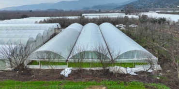 Lodostan zarar gören seralara Büyükşehir desteği