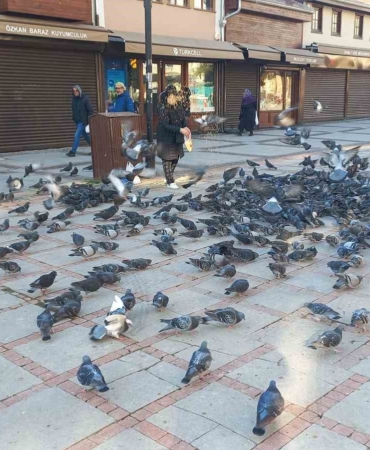 Soğukta üşüyen kuşlar için 5 kilometrelik şefkat yolculuğu