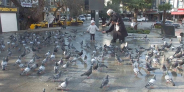Burhaniye’de güvercinler imece ile besleniyor