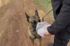 7. gün Kapıdağ’da umut nöbeti sürüyor