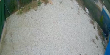 Direksiyon hakimiyetini kaybeden sürücü ölümden böyle döndü