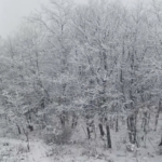 Çanakkale’de yüksek kesimler beyaza büründü