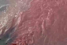 Bandırma’da deniz yüzeyi kırmızıya döndü