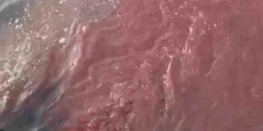 Bandırma’da deniz yüzeyi kırmızıya döndü