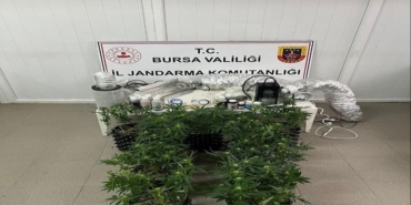 İnegöl’de uyuşturucu operasyonu: Evde esrar üretim düzeneği ele geçirildi