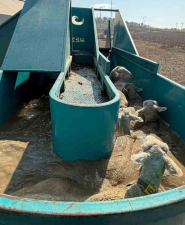 İnegöl Belediyesi’nden tarıma ve üreticiye tam destek