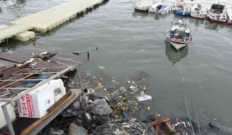 Pendik’te denize atık su alarmı: Kirlilik ve koku dayanılmaz boyuta ulaştı