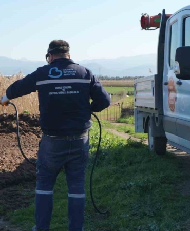 Balıkesir Büyükşehir’in haşerelere karşı mücadelesi sürüyor