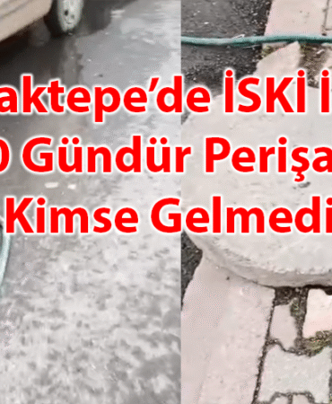 CADDE NEWS MANŞET-Kurtarıldı