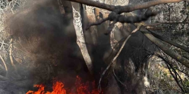 Bursa’da çıkan çalı yangını büyümeden söndürüldü