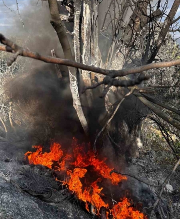 Bursa’da çıkan çalı yangını büyümeden söndürüldü