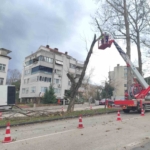 Lodosa karşı büyükşehir ekipleri sahada