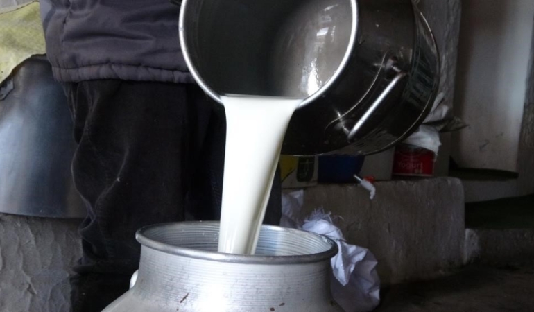 Çiğ süt fiyatları belli