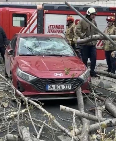 Şişli’de ağaç, park halindeki aracın üzerine devrildi
