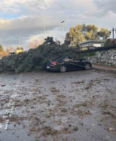Gebze’de fırtınada iki otomobilin üzerine ağaç devrildi