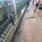 Sakarya’da kanala uçan aracın sürücüsü yaralandı