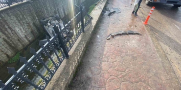 Sakarya’da kanala uçan aracın sürücüsü yaralandı