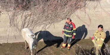 Ayvalık’ta itfaiyeden at kurtarma operasyonu