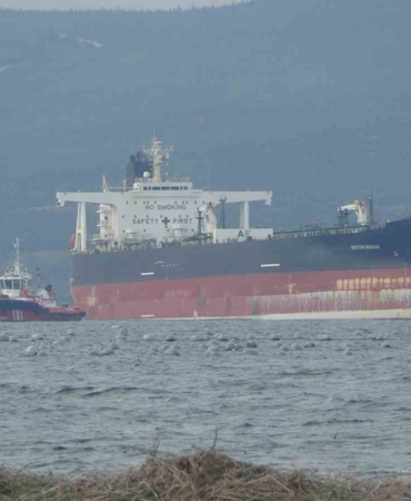 Çanakkale Boğazı’ndan geçen tanker jeneratör arızası yaptı