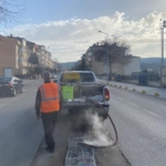 Bilecik’te haşerelere karşı kışlık mücadele