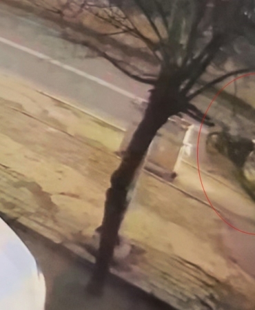 Tekirdağ’da 2 kişinin yaralandığı feci kaza kamerada