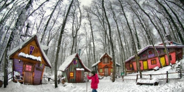Avrupa’nın en büyük doğal yaşam parkı Ormanya beyaz örtüyle kaplandı
