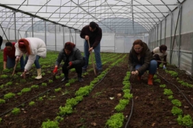 Tarım Akademisi’nde 16-55 yaş arası aday çiftçilere eğitim