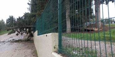 Mudanya’da lodos ve yangın paniği