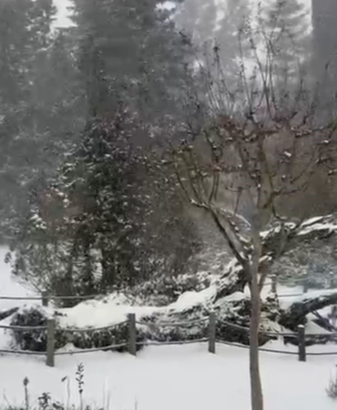 Sarıyer’in yüksek kesimleri karla kaplandı