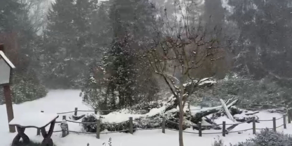 Sarıyer’in yüksek kesimleri karla kaplandı