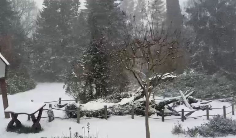 Sarıyer’in yüksek kesimleri karla kaplandı