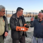 Çanakkale’de yaralı şahin koruma altına alındı