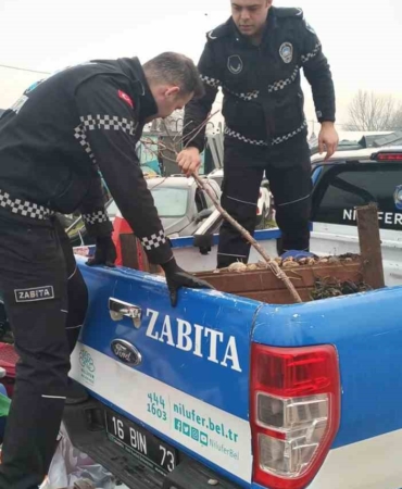 Nilüfer’de kaldırımlar işgallerden arındırılıyor