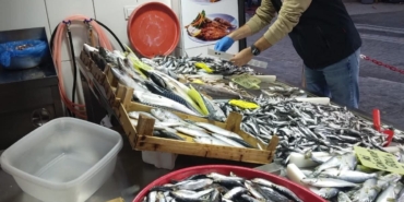 Tekirdağ’da su ürünleri denetimleri aralıksız sürüyor