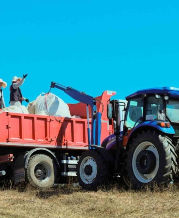 2025’te toprağa bereket yağdı: Çiftçilere 166 milyon TL’lik destek
