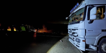 Köpekler nedeniyle otoyolda can pazarı